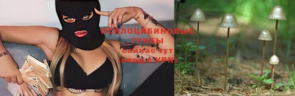 сатива Верея