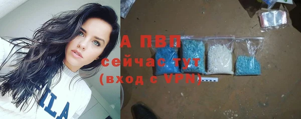 сатива Верея