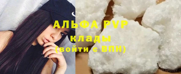 сатива Верея