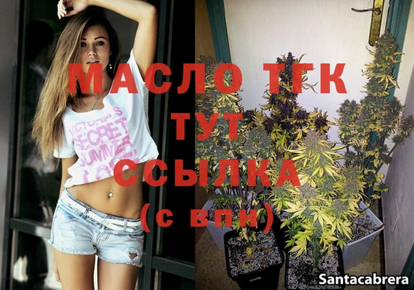 сатива Верея