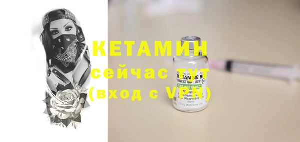 сатива Верея