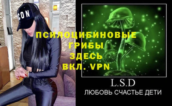 сатива Верея