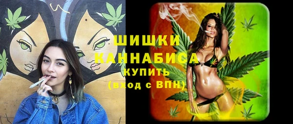 хмурый Верхний Тагил